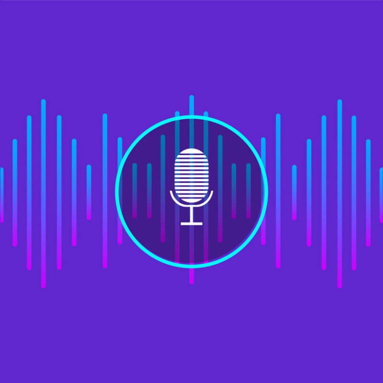 Voice User Interface (VUI)