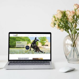 WordPress Website erstellen lassen, Kundin Heuter, Hundeunternehmen, Webdesign